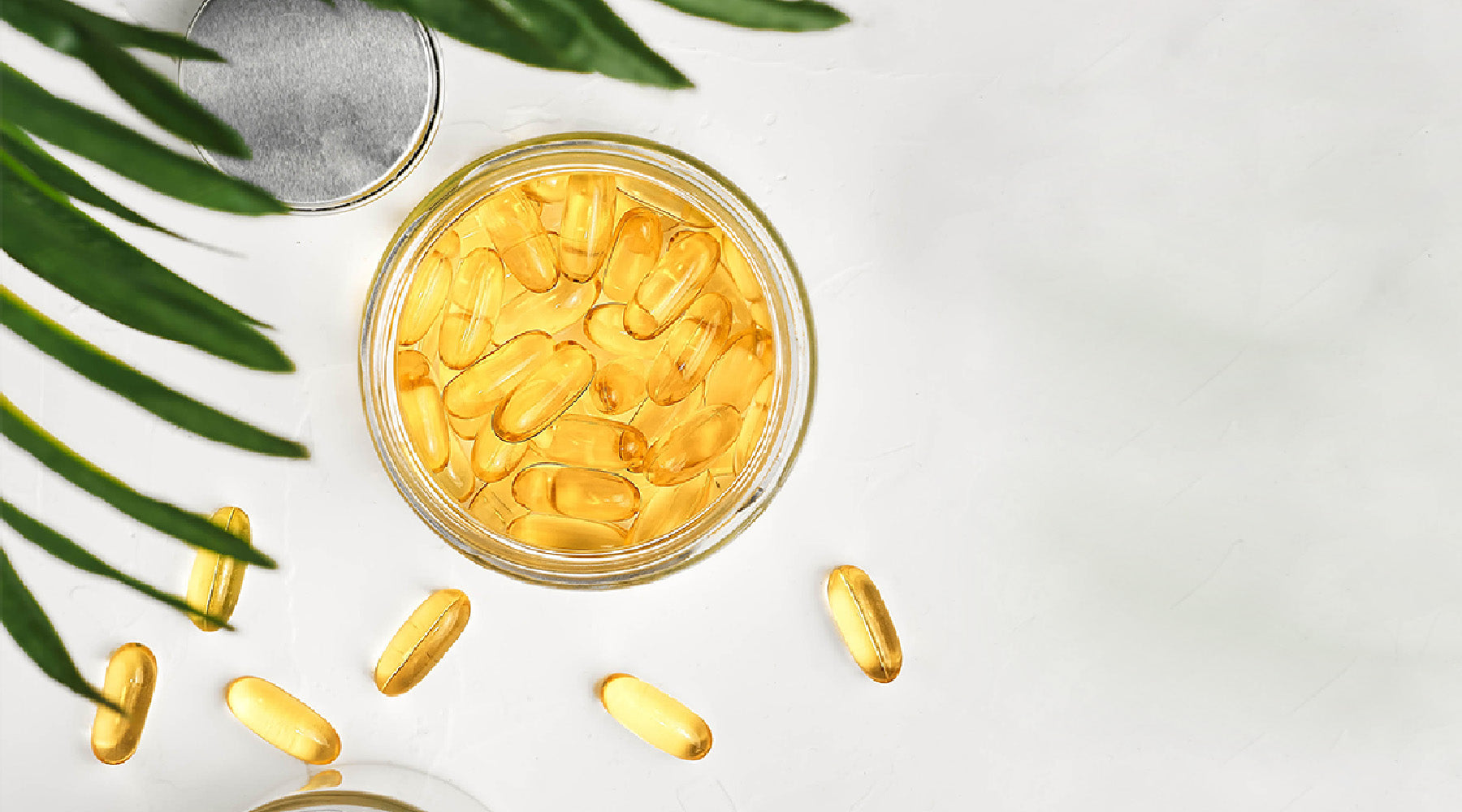 Is Omega 3 Good for Daily Health?