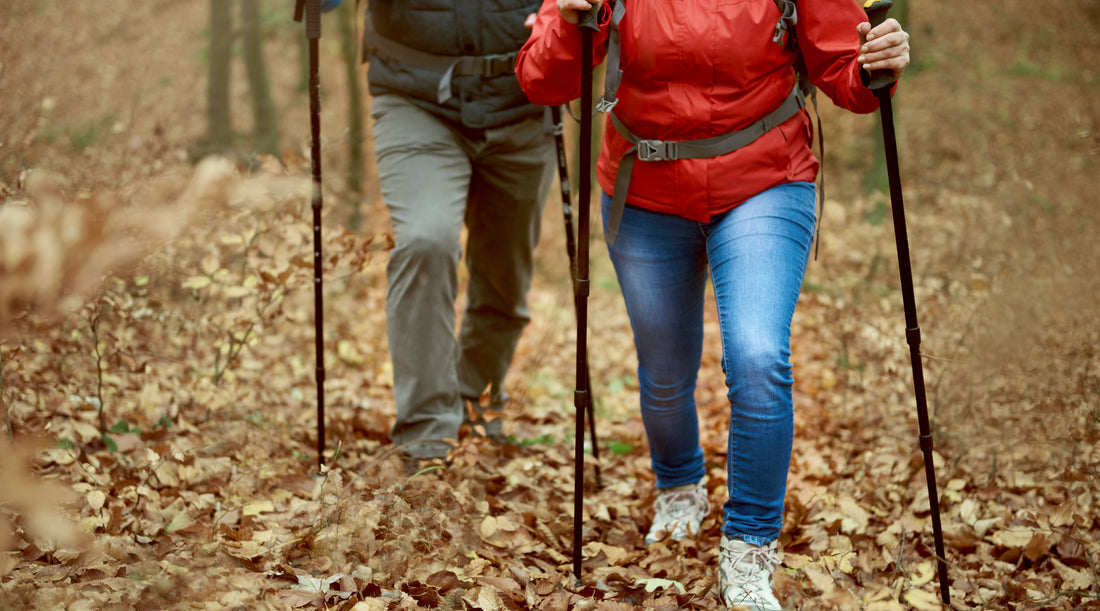  A pair of hikers strolling through a serene forest, utilizing walking poles for stability, as they bask in the health benefits of natural vitamin D